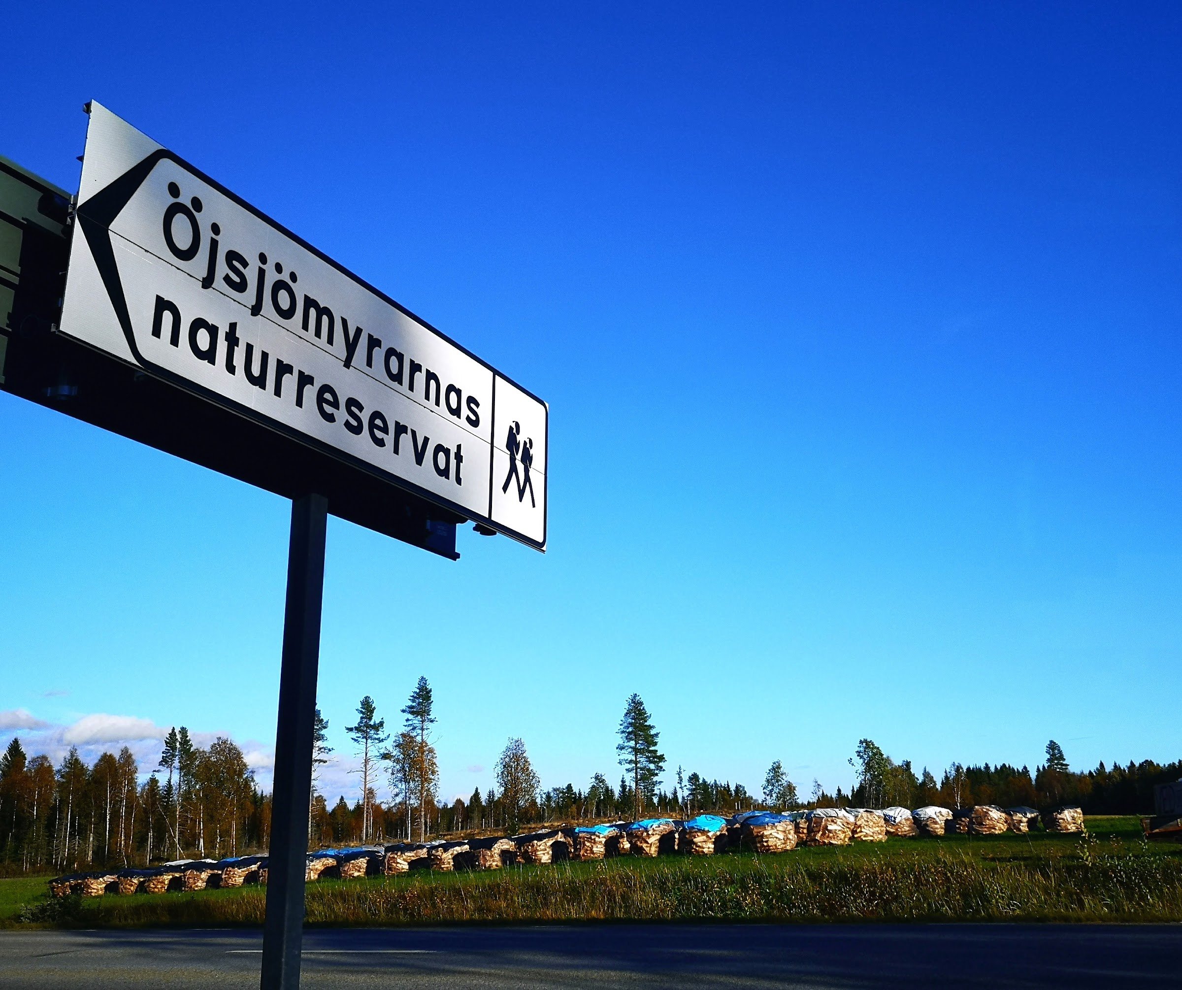 Öjsjömyrarna Nature Reserve